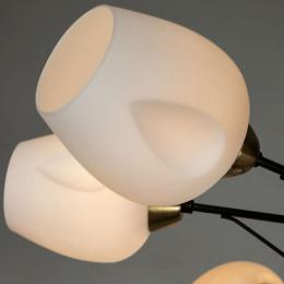 Потолочная люстра Arte Lamp Brighton  - 2